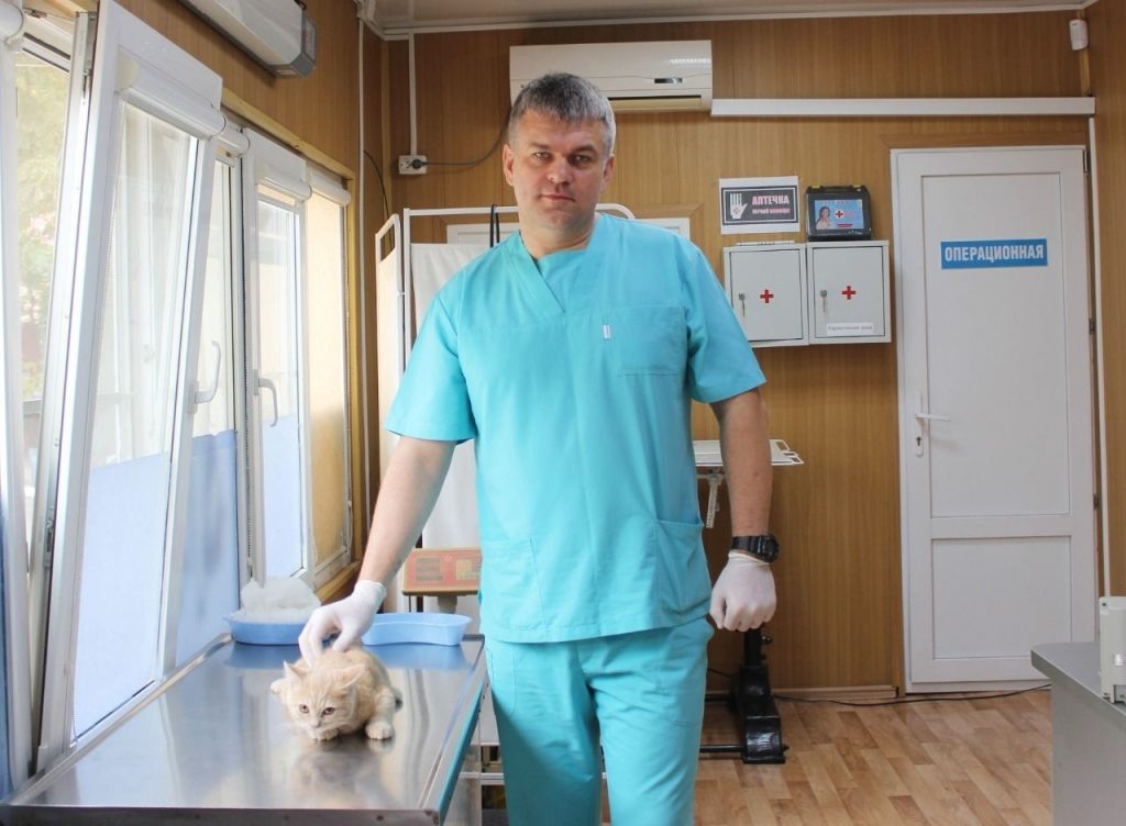    фото donland.ru Редактор