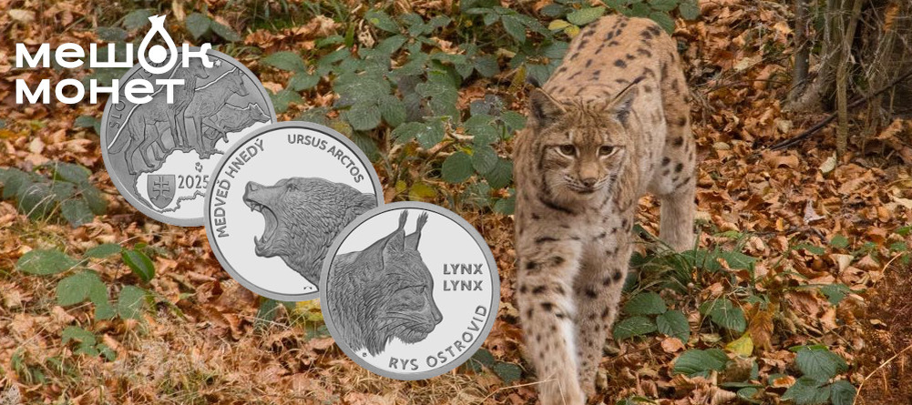    Обложка статьи