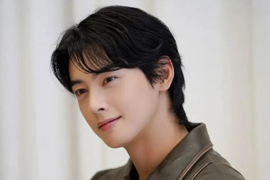 Ча Ыну по праву считают одним из самых красивых представителей корейского шоубизнеса