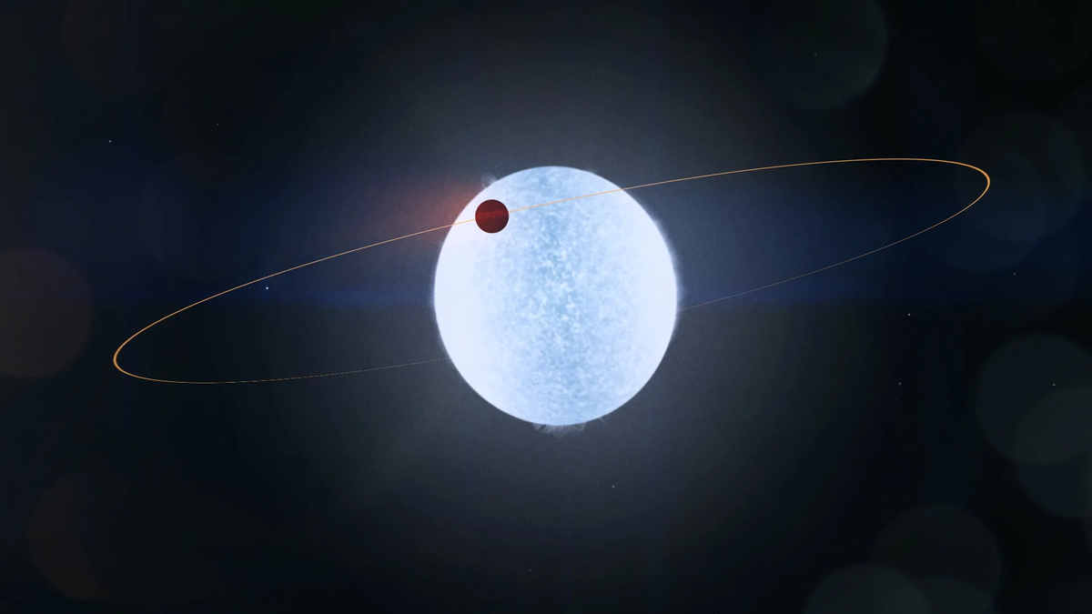 Система KELT-9b в представлении художника