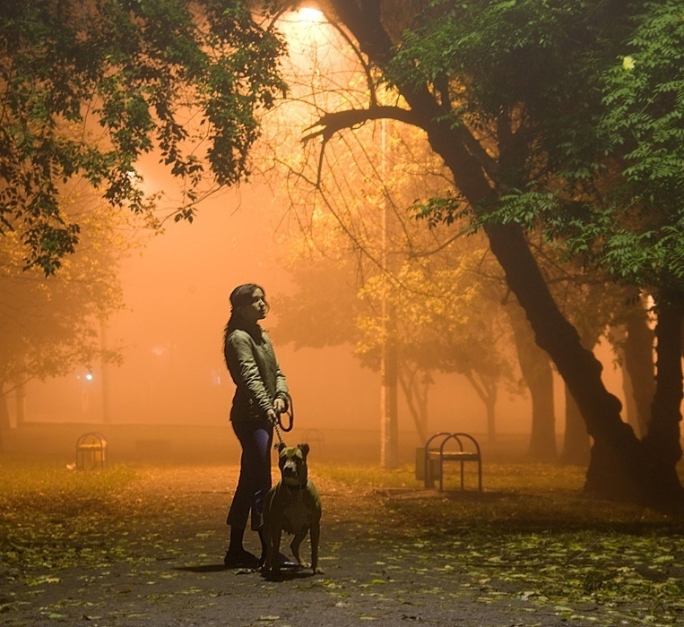 Яндекс Картинки