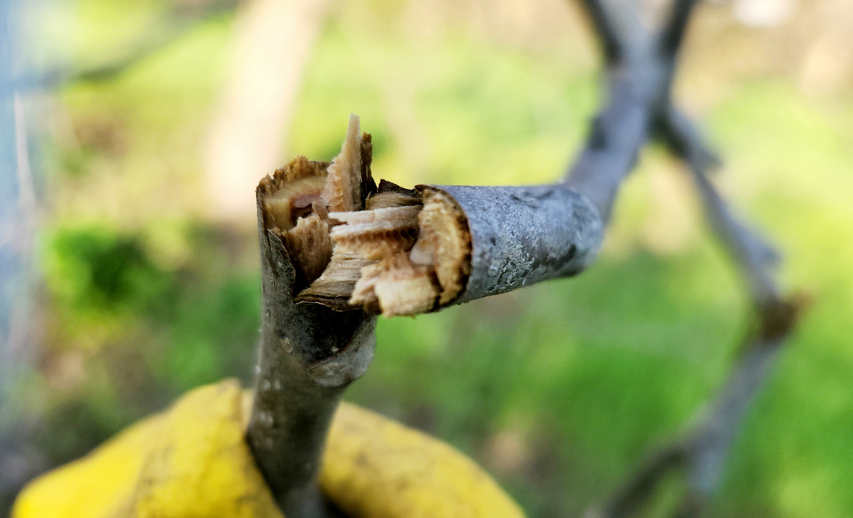 Вот тебе и теплая южная зима, и морозы в феврале под -30С...