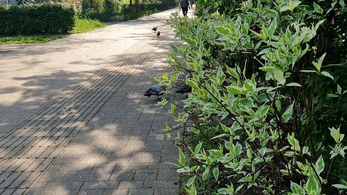    Фото: телеканал «Краснодар»