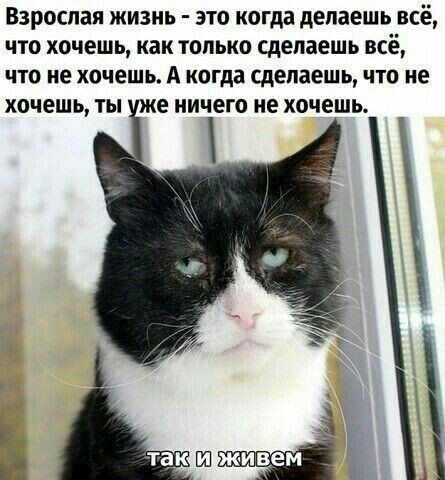 Изображение с просторов интернета