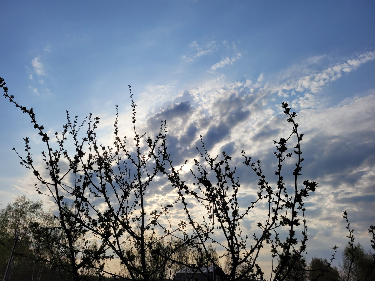 Относительно раннее утро