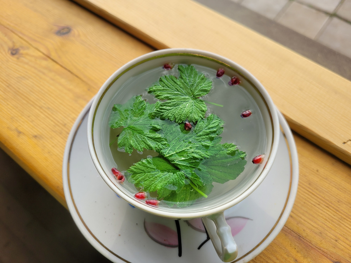 Чай с листьями смородины