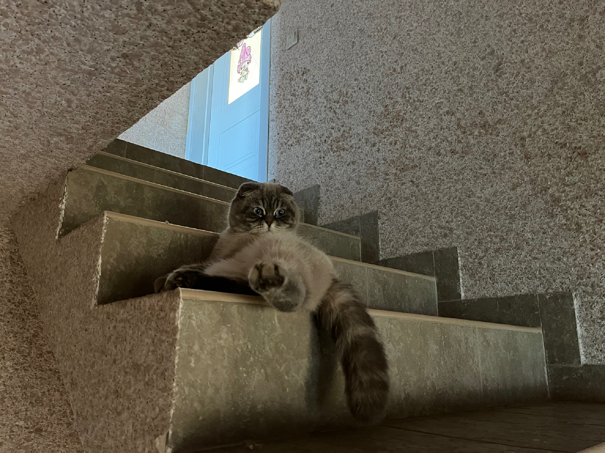 Кевин Фадееев