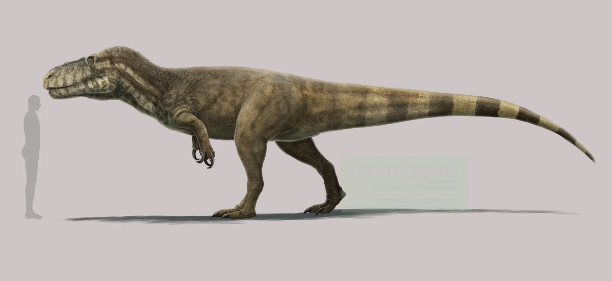 Аллозавр палеоарт