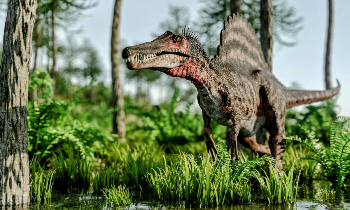 Спинозавриды 