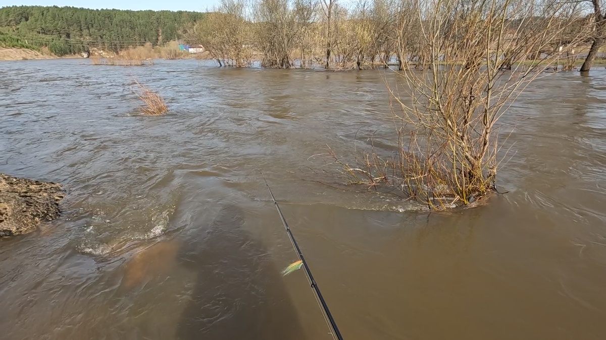 Это состояние реки в черте города.