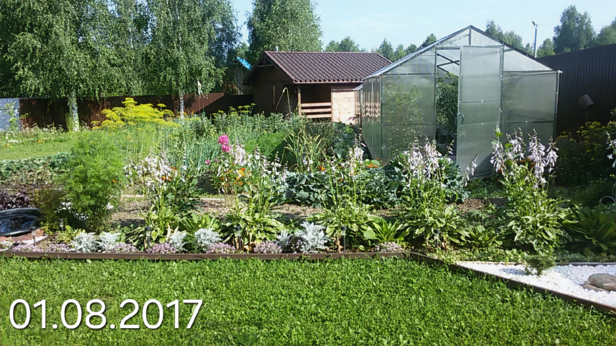 Рабатку отделяющую огород от лужайки.