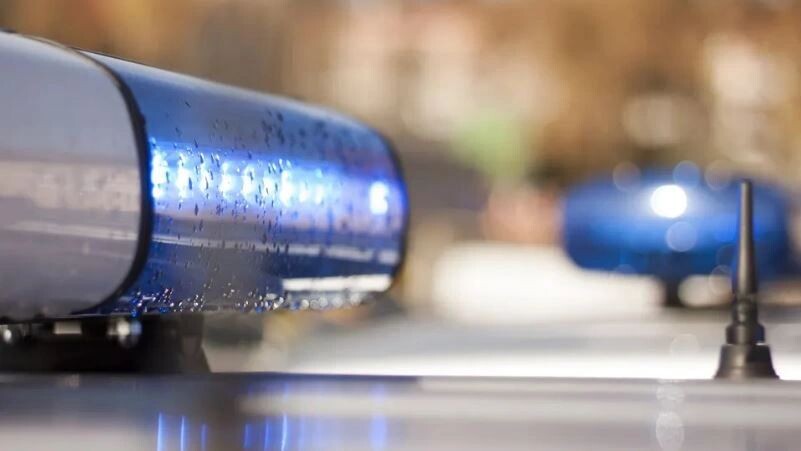    Фото: Siarhei Kuranets/Shutterstock/Fotodom