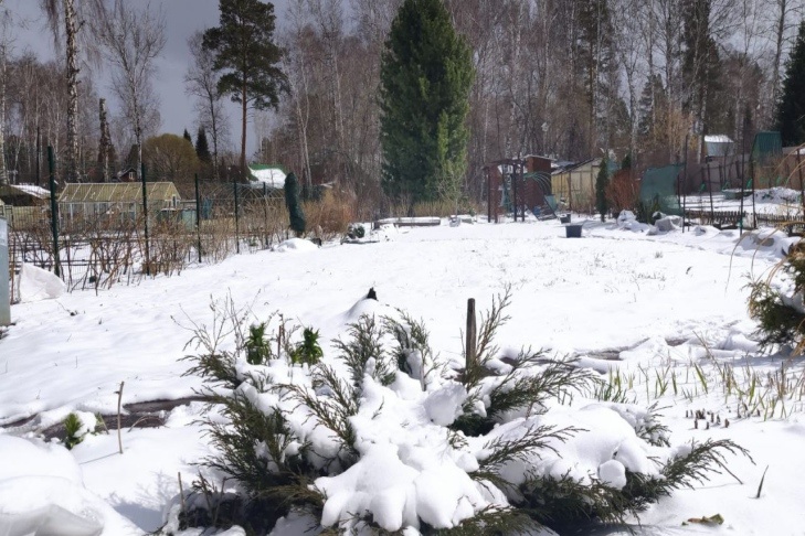    Фото предоставлено Алексеем Яновским