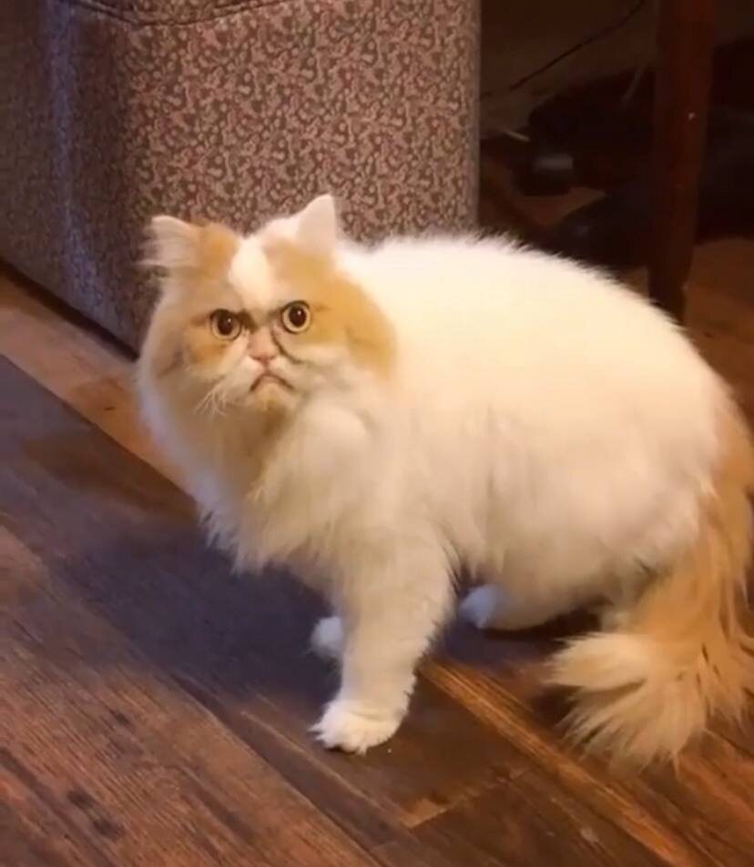 Недовольный клиент в салоне красоты