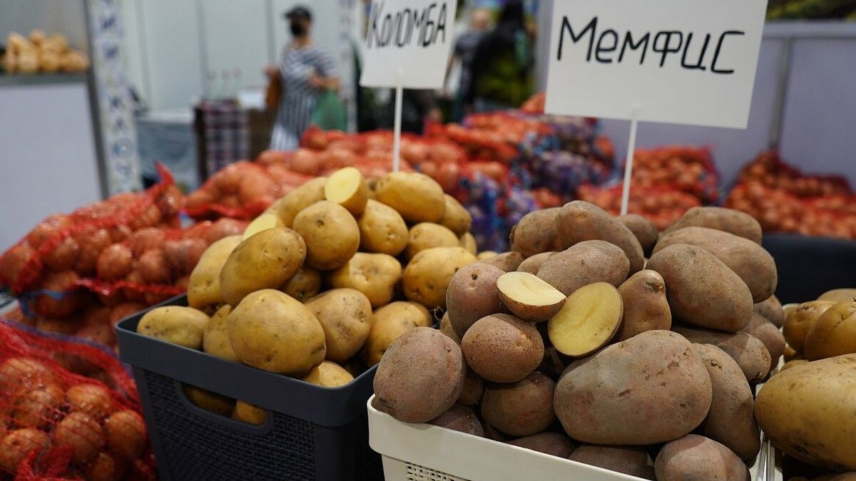    Фото: телеканал «Краснодар»