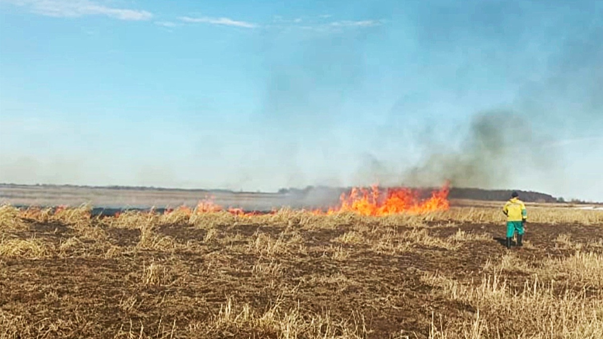    В Югре потушили три ландшафтных пожара