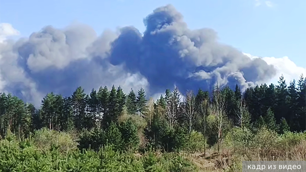     Фото: кадр из видео   
 Текст: Александра Юдина