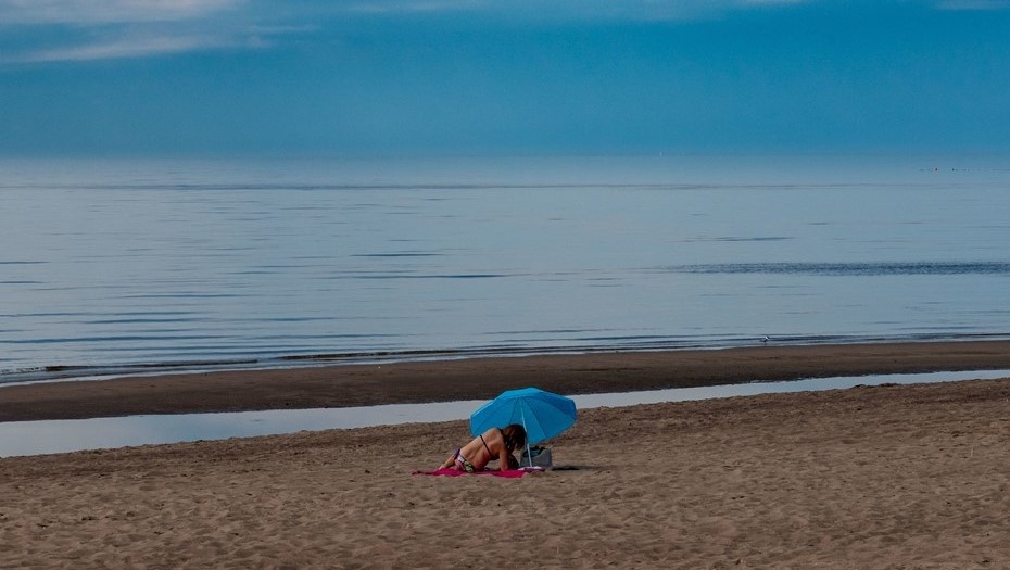    Автор фото: Михаил Тихонов / "ДП"