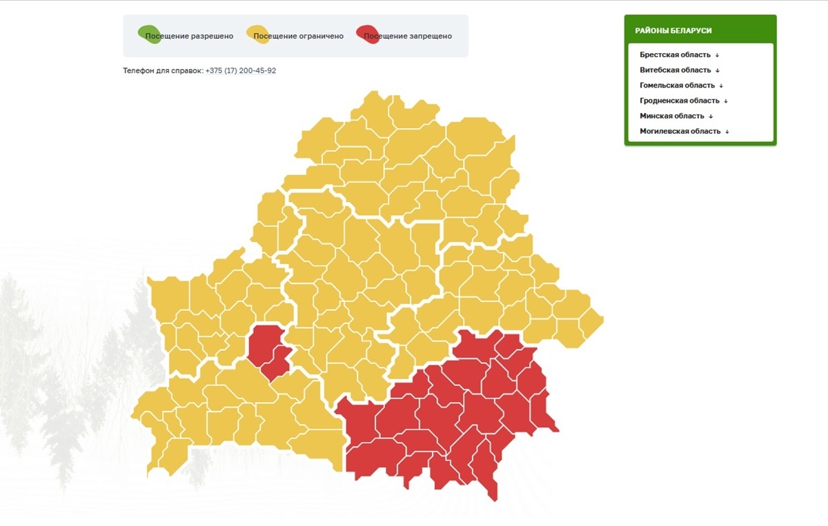 Штраф – до 1260 рублей. Жителям Гомельщины и двух районов Брестчины полностью запретили ходить в лес