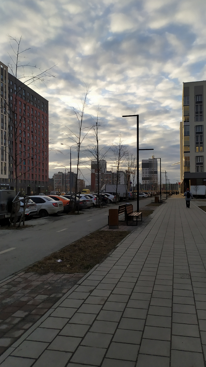 Дорога домой)