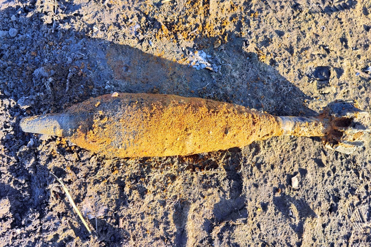    Фото с места находки предоставлены Росгвардией