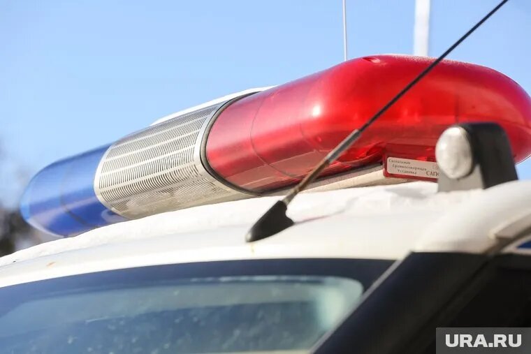 Двух нарушителей выдворят за пределы РФ. Фото: Денис Моргунов © URA.RU