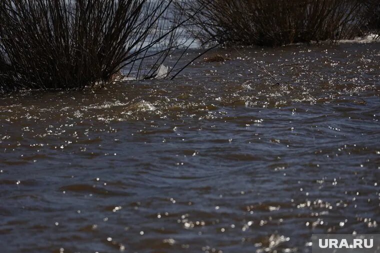 Вода в реках Тюменской области стала прибывать медленнее. Фото: Екатерина Сычкова © URA.RU