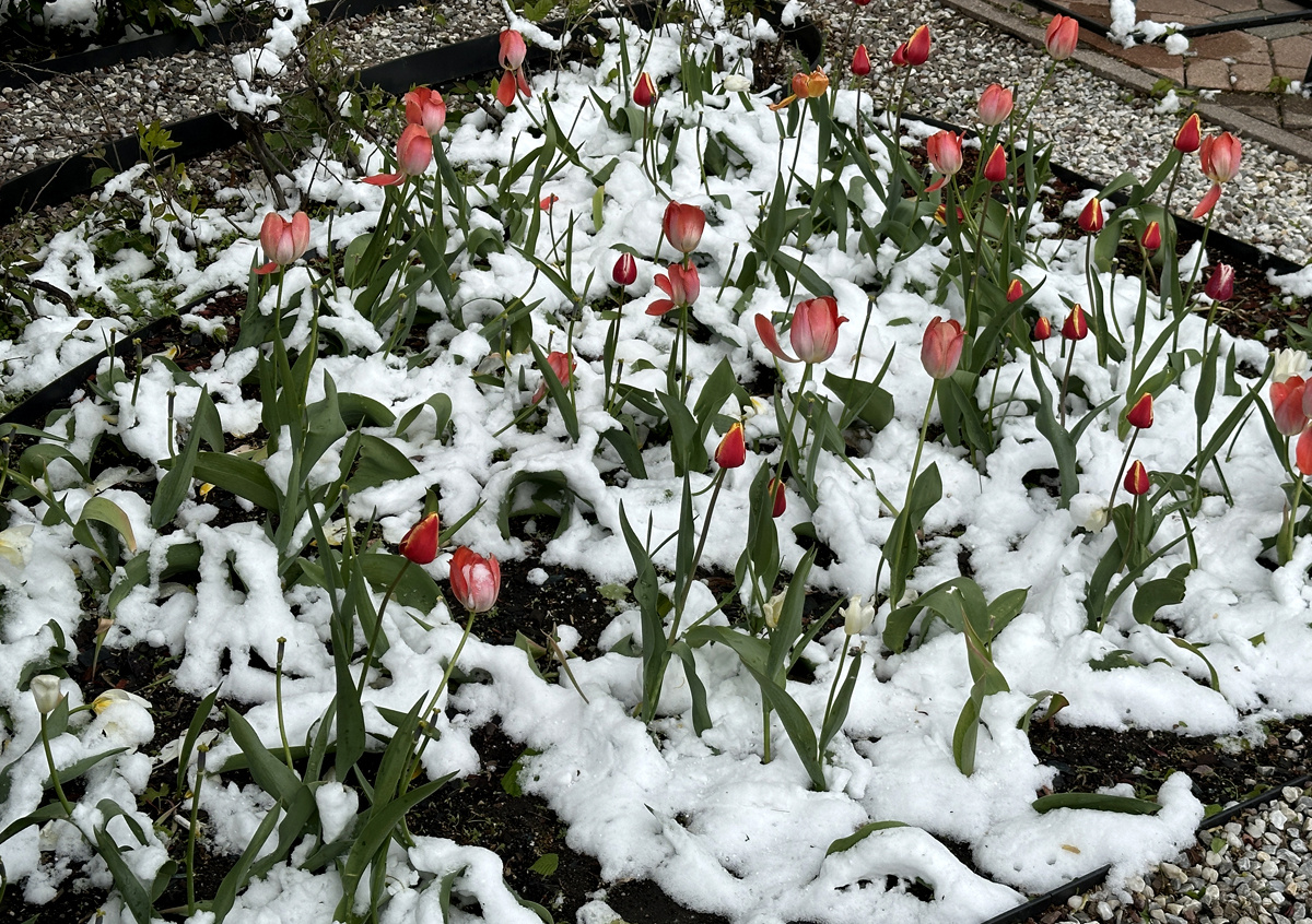 Фото © «Московская газета»