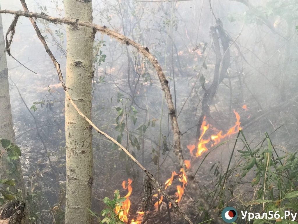    Уже в 21 муниципалитете Оренбургской области ожидается 4 класс пожарной опасности, в 11 – введен особый режим. Что запрещено?