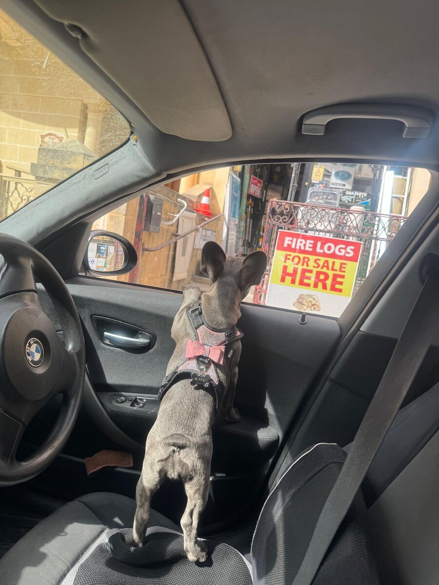 Фото просто для настроения