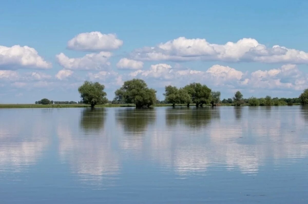    Паводок в Астраханской области начнется позднее и будет скромнее