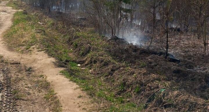    Комитет лесного хозяйства Московской области