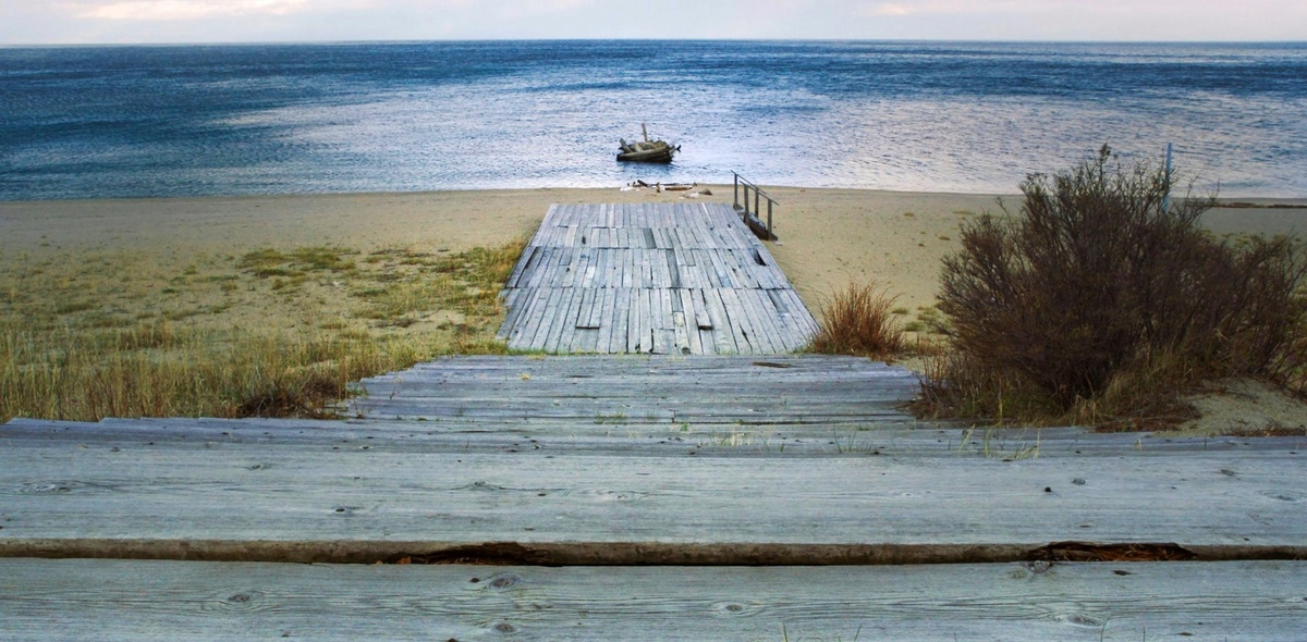 Фото: Oleksandr Sushko/Unsplash