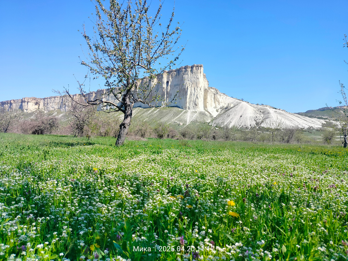 Ак-Кая весной, фото автора 