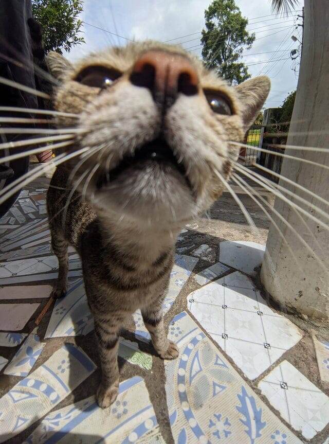 Altruistic_Grand_455