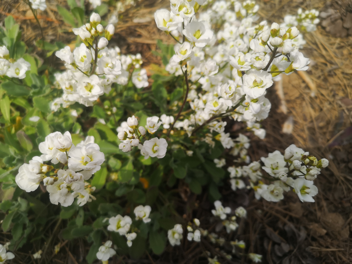 Пусть будет вместо картинки