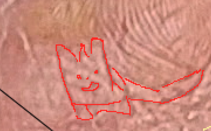 К сожалению оригинал фото руки не сохранлся. В целом похоже на кота и обладатель руки подтверил что у него был кот. 