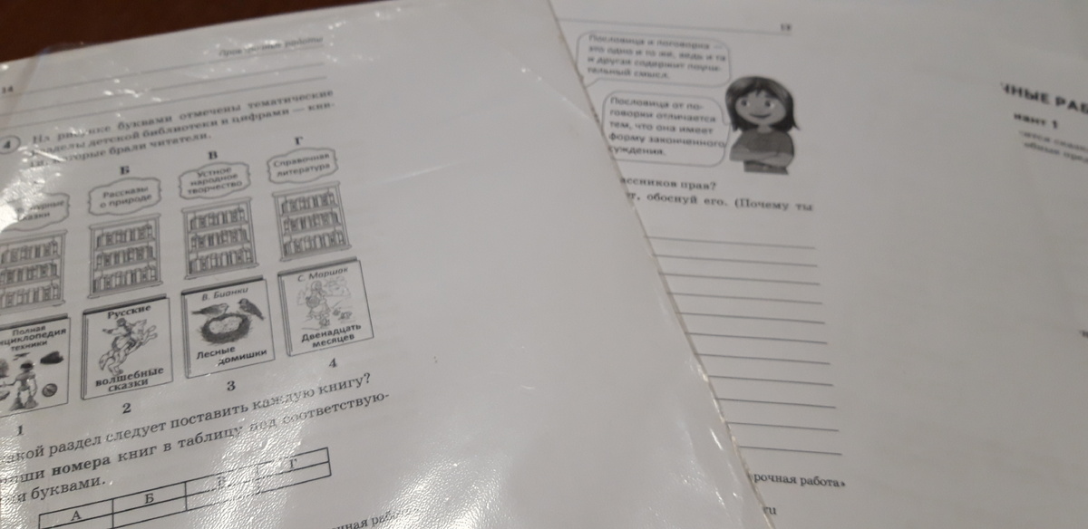 Готовимся к ВПР по литературному чтению