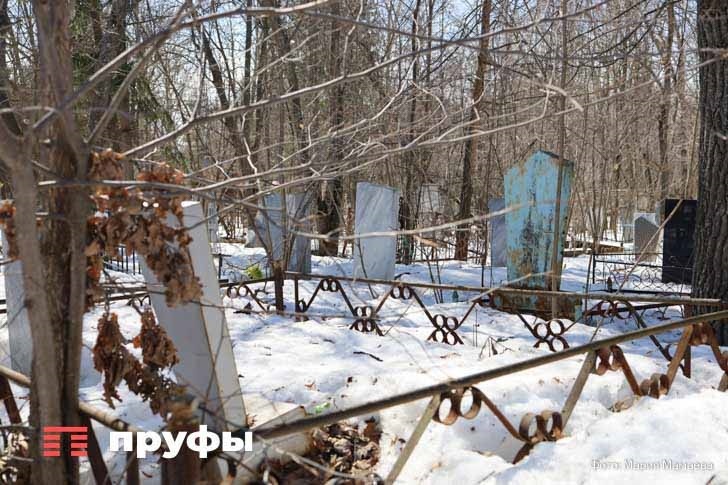    Фото: Пруфы.рф