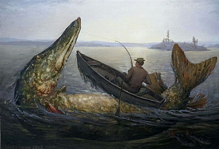 Шаройкин Геннадий  Рыбная ловля