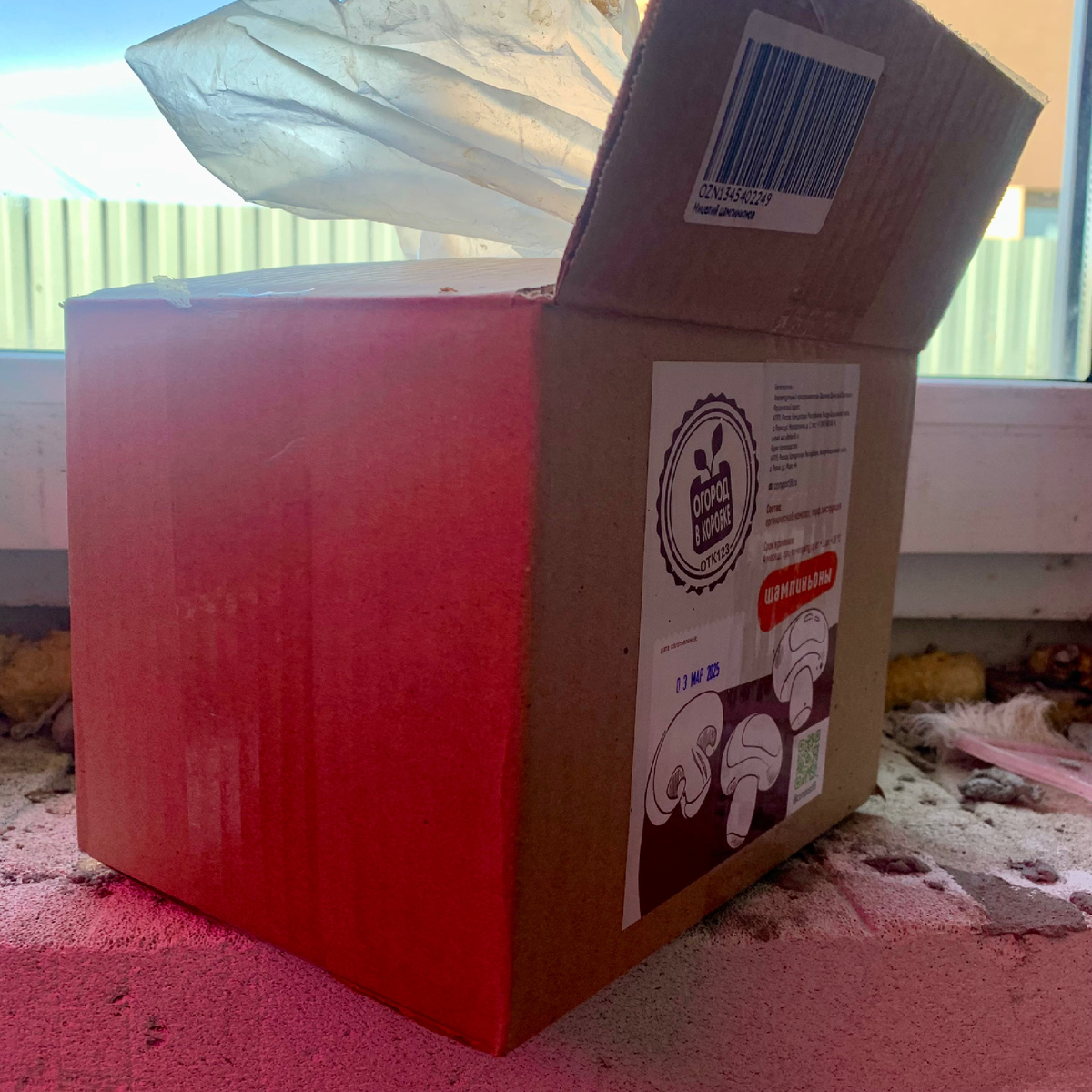 Моя коробочка надежды