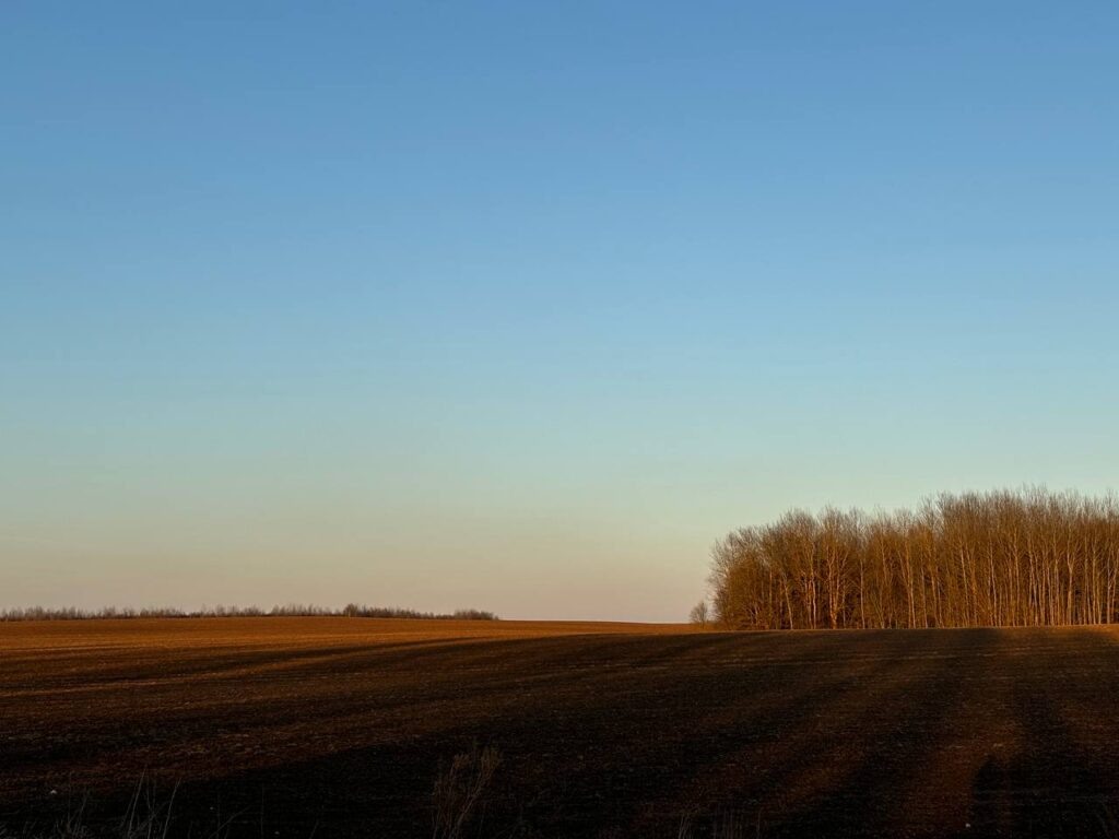   Фото: SmolNarod Елена Воронцова
