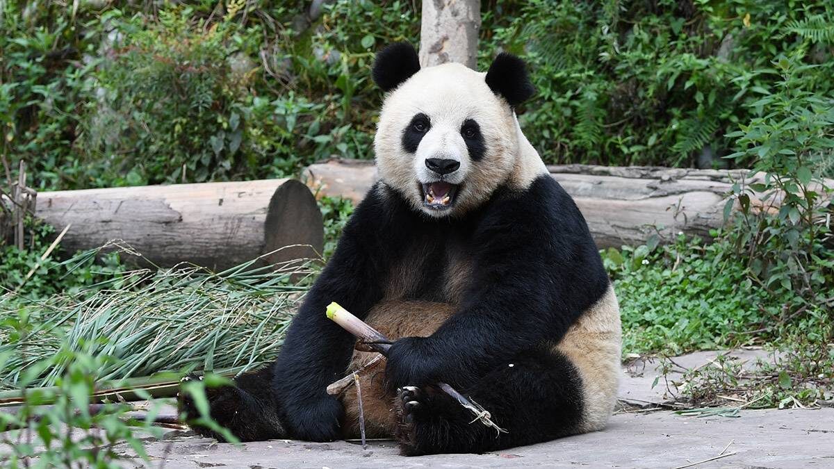    Фото: Shutterstock