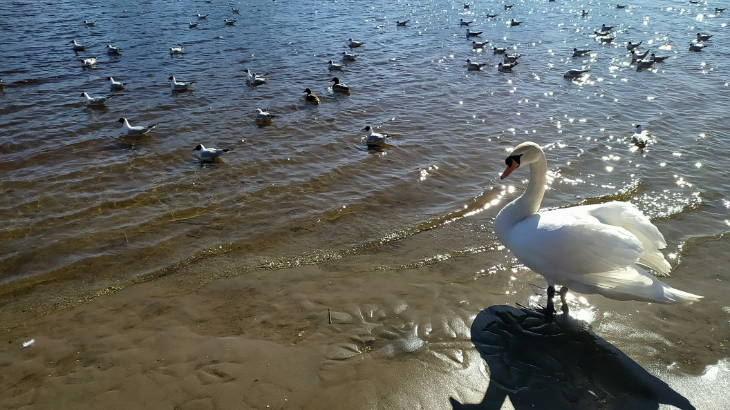    Фото: Victor Lisitsyn/Globallookpress