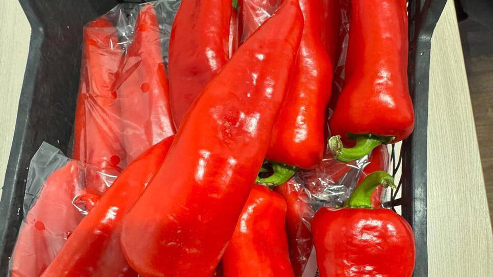 Фото: пресс-служба Южного межрегионального управления Россельхознадзора