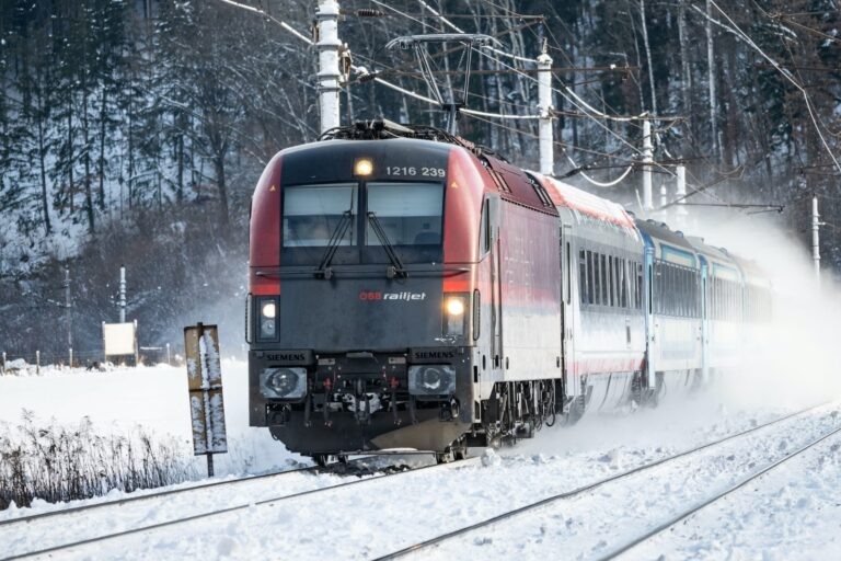    Фото: unsplash.com/Laszlo Biro Ольга Чистова