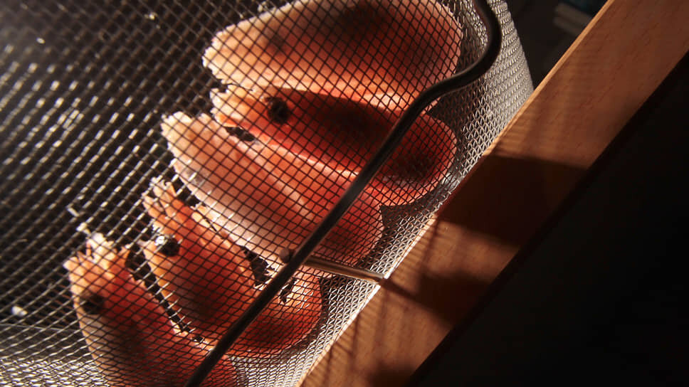 Фото: Александр Вайнштейн / Коммерсантъ