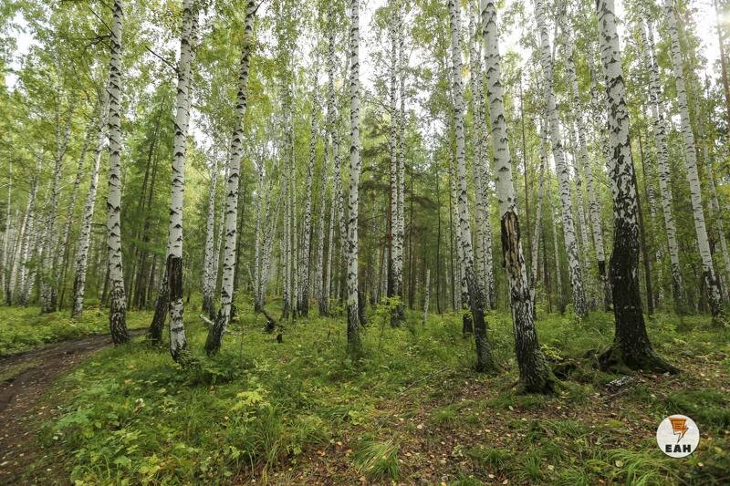    ЕАН. Архивное фото