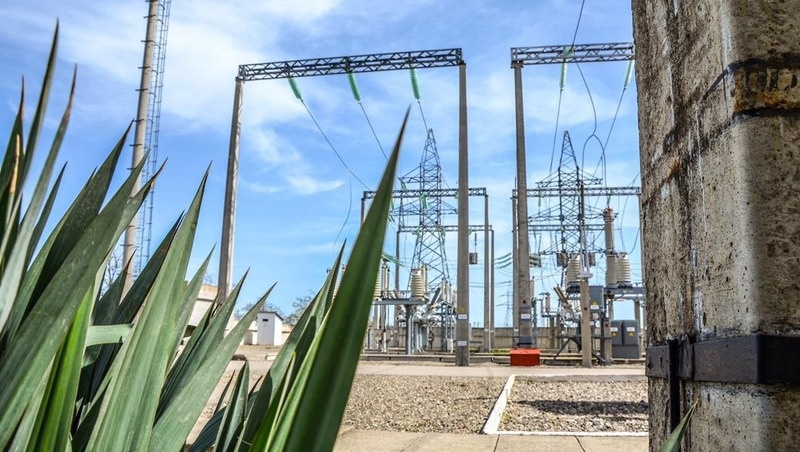      Фото: «Россети Северный Кавказ»