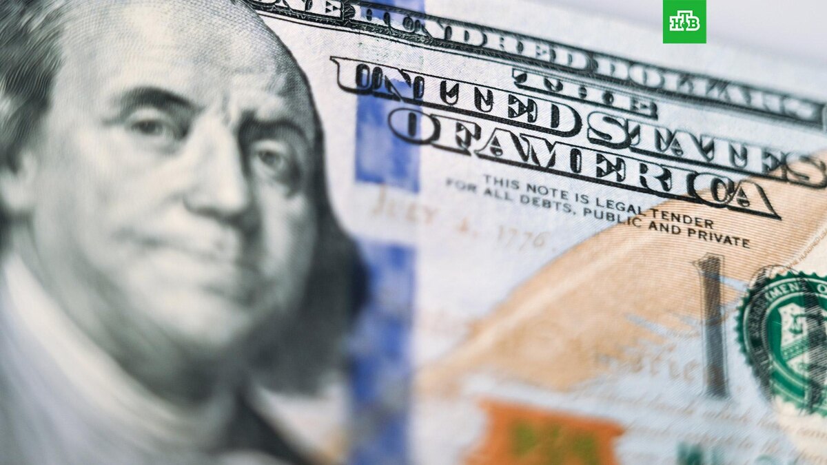    Фото: РИА Новости © 2025, Владимир Астапкович